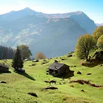 Feriehus Tannengueetli By Interhome Grindelwald