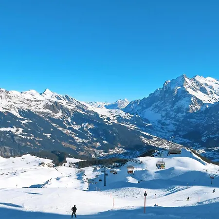 Tatil Evi Tannengueetli By Interhome Grindelwald