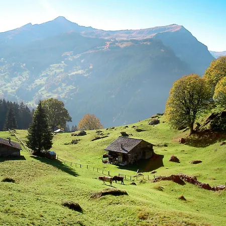 Tatil Evi Tannengueetli By Interhome Grindelwald