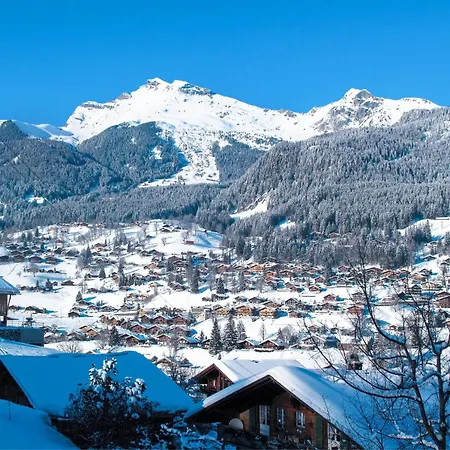 Tannengueetli By Interhome Ferienhaus *