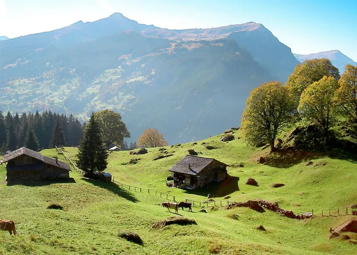 度假居 Tannengueetli By Interhome 格林德瓦