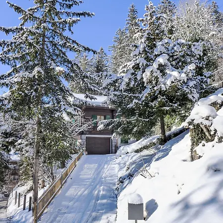 Semesterbostad Tannengueetli By Interhome Grindelwald